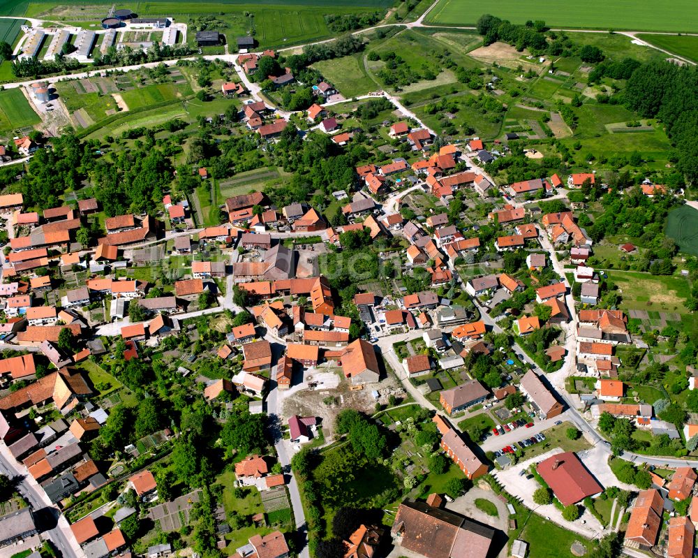 Langeln von oben - Von Waldflächen umsäumtes Stadtgebiet in Langeln im Bundesland Sachsen-Anhalt, Deutschland