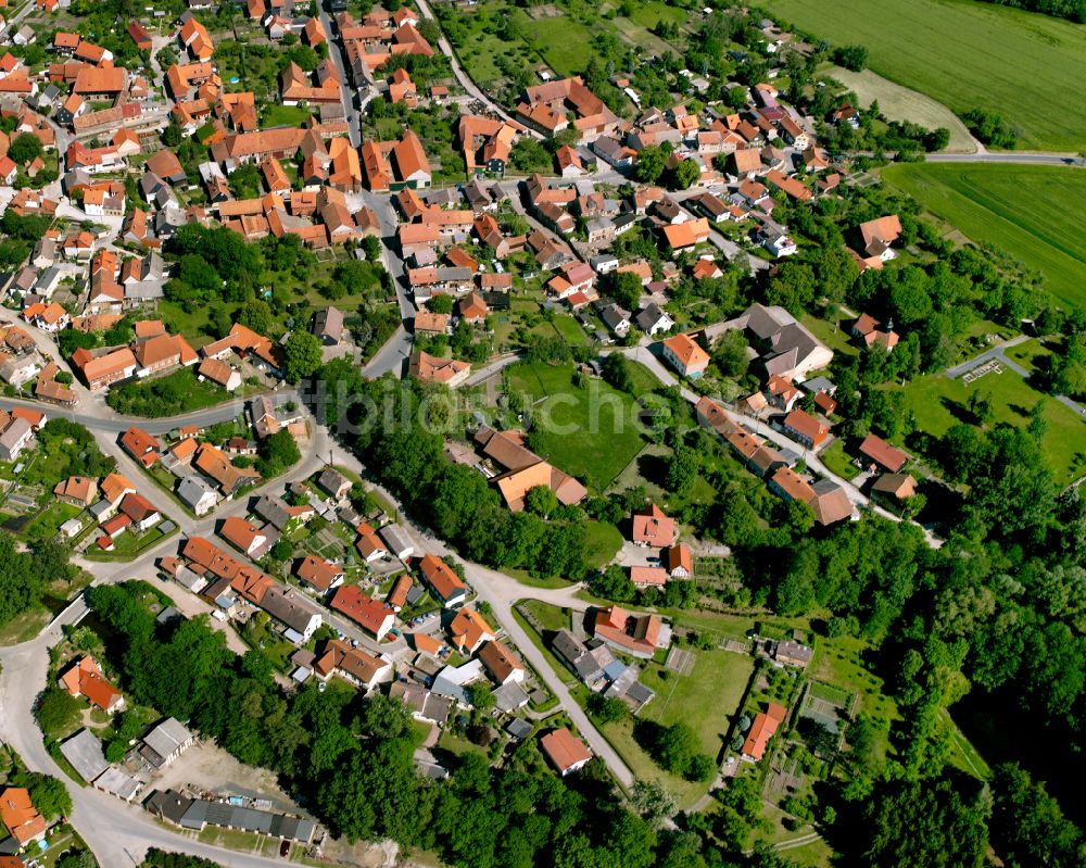 Luftbild Wasserleben - Von Waldflächen umsäumtes Stadtgebiet in Wasserleben im Bundesland Sachsen-Anhalt, Deutschland