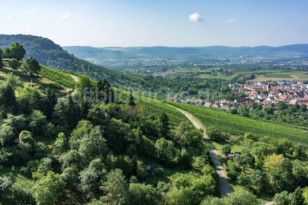 Korb von oben - Wald und Berglandschaft Kleinheppacher Kopf in Korb im Bundesland Baden-Württemberg