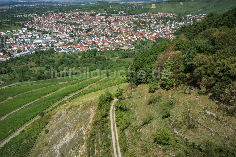 Luftaufnahme Korb - Wald und Berglandschaft Kleinheppacher Kopf in Korb im Bundesland Baden-Württemberg