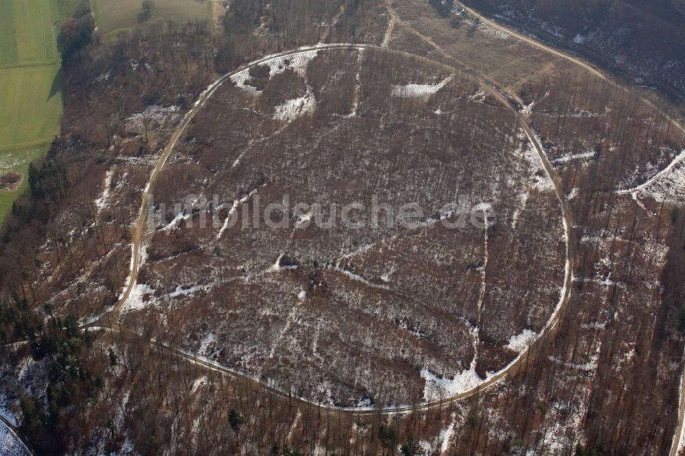 Rheinfelden (Baden) von oben - Wald und Berglandschaft mit Rundweg am Löwen in Rheinfelden (Baden) im Bundesland Baden-Württemberg