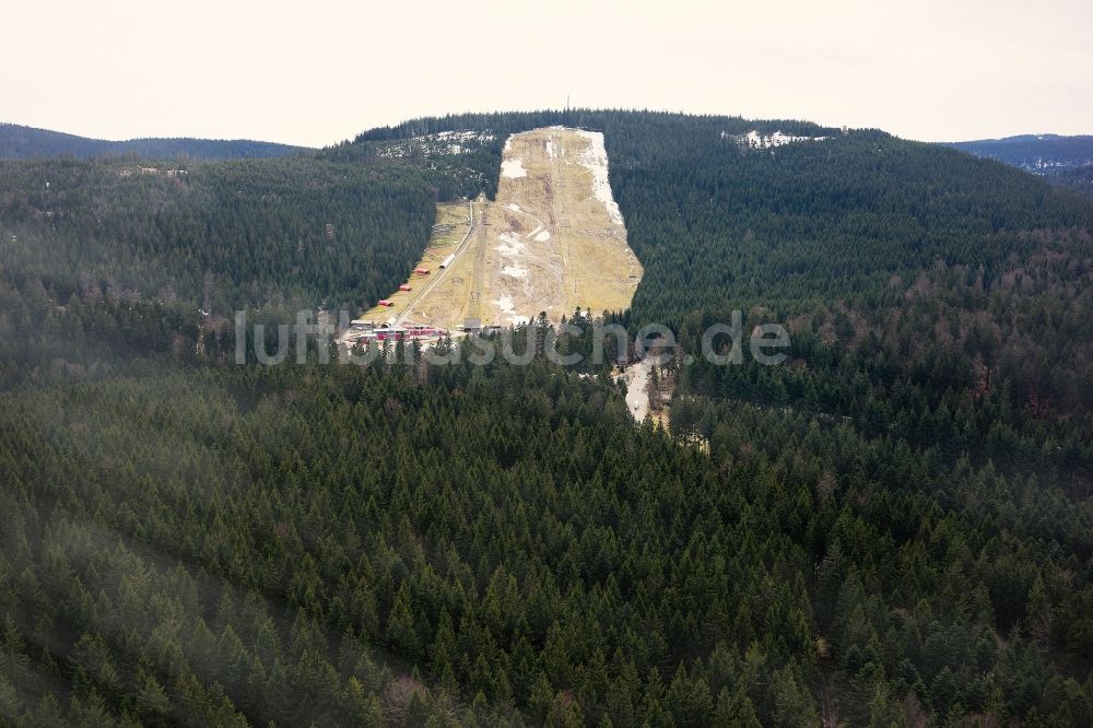 Bühlertal aus der Vogelperspektive: Wald und Berglandschaft im Schwarzwald mit Blick auf Mehliskopf im Bundesland Baden-Württemberg