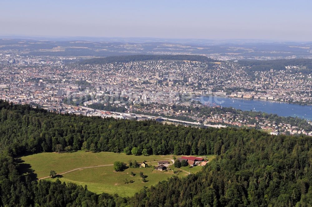 Luftbild Stallikon - Wald und Berglandschaft mit einer Waldlichtung in Stallikon in Schweiz