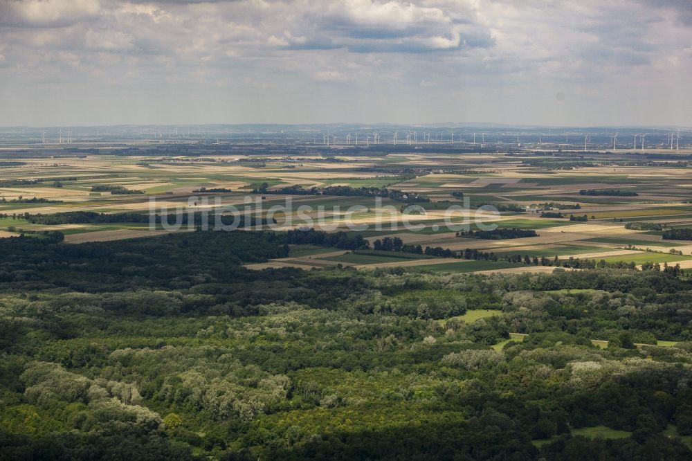 Luftbild Haslau an der Donau - Wald und Felder der Landschaft des Nationalpark Donau-Auen in Haslau an der Donau in Niederösterreich, Österreich