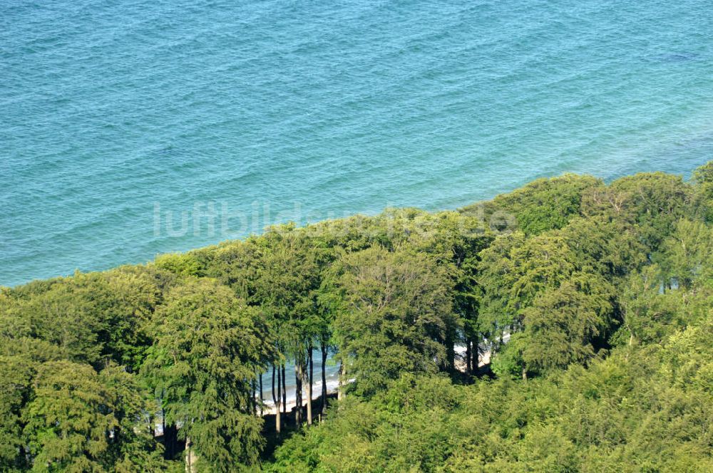 Luftaufnahme Bad Dorberan - Wald an der Ostseeküste bei Heiligendamm