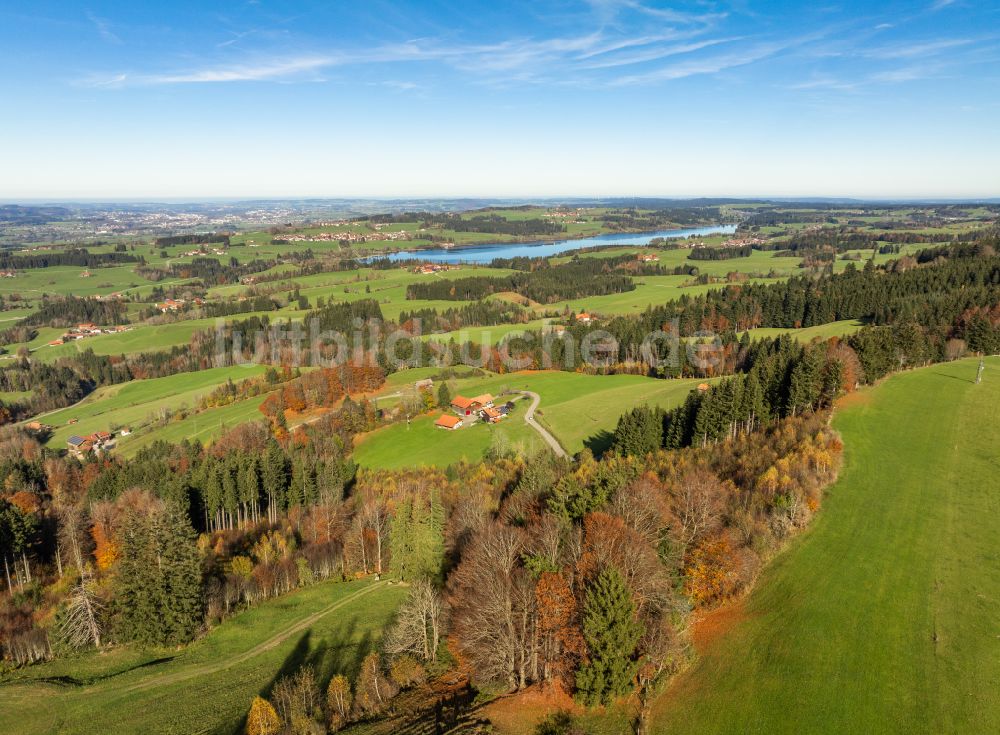 Luftbild Oy-Mittelberg - Wald- und Wiesenlandschaft in Oy-Mittelberg im Bundesland Bayern, Deutschland