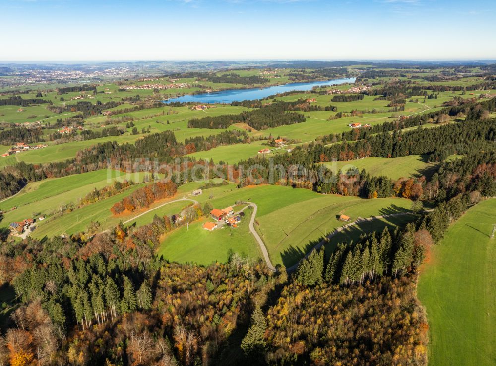 Luftaufnahme Oy-Mittelberg - Wald- und Wiesenlandschaft in Oy-Mittelberg im Bundesland Bayern, Deutschland