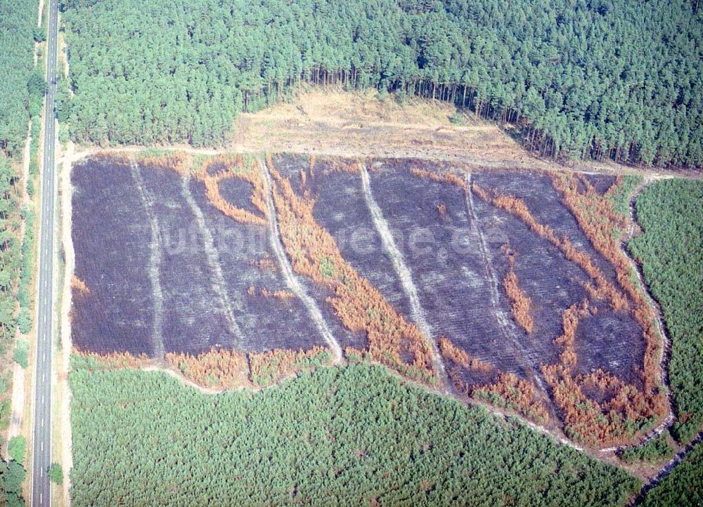 Lübben / Brandenburg aus der Vogelperspektive: Waldbrandfläche südöstlich von Lübben in Brandenburg.