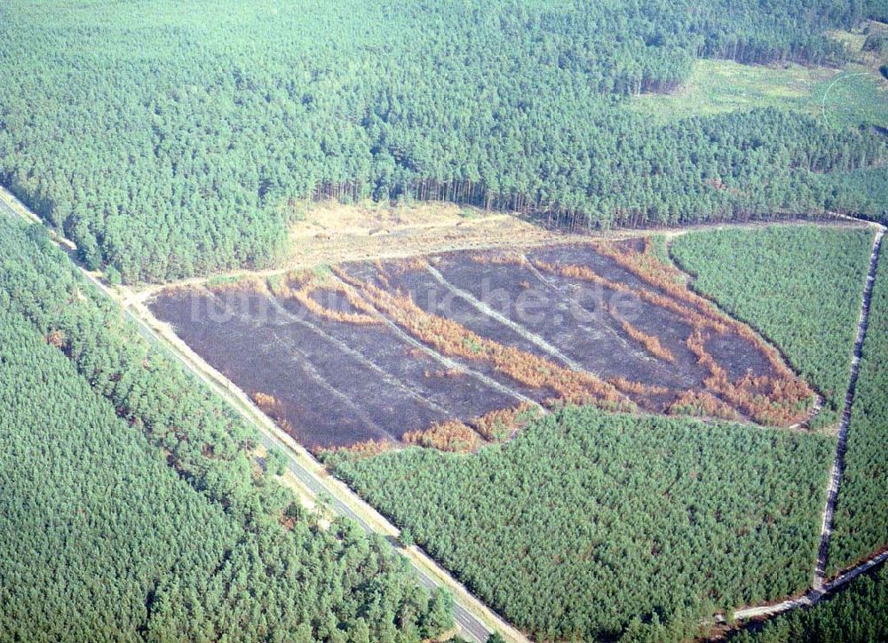 Luftbild Lübben / Brandenburg - Waldbrandfläche südöstlich von Lübben in Brandenburg.