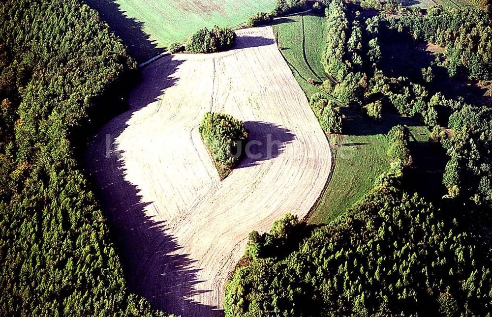 Luftaufnahme Thüringen / Waldfeld südlich von Bad Salzungen - 20.09.2003 Waldfeld südlich von Bad Salzungen/ Thüringen