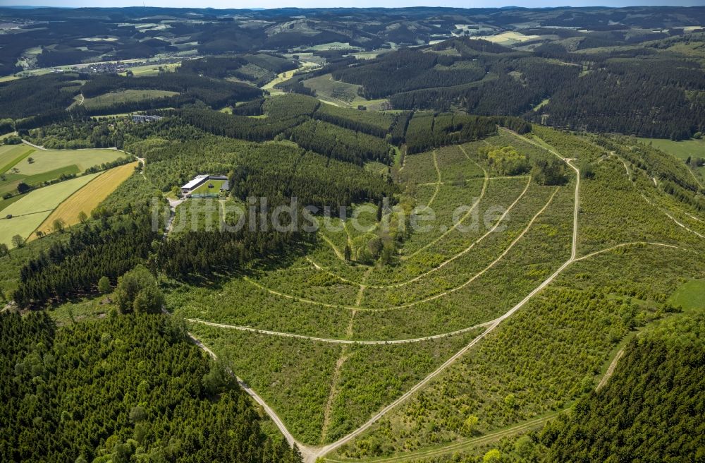 Luftbild Bad Berleburg - Waldflächen bei Bad Berleburg im Bundesland Nordrhein-Westfalen