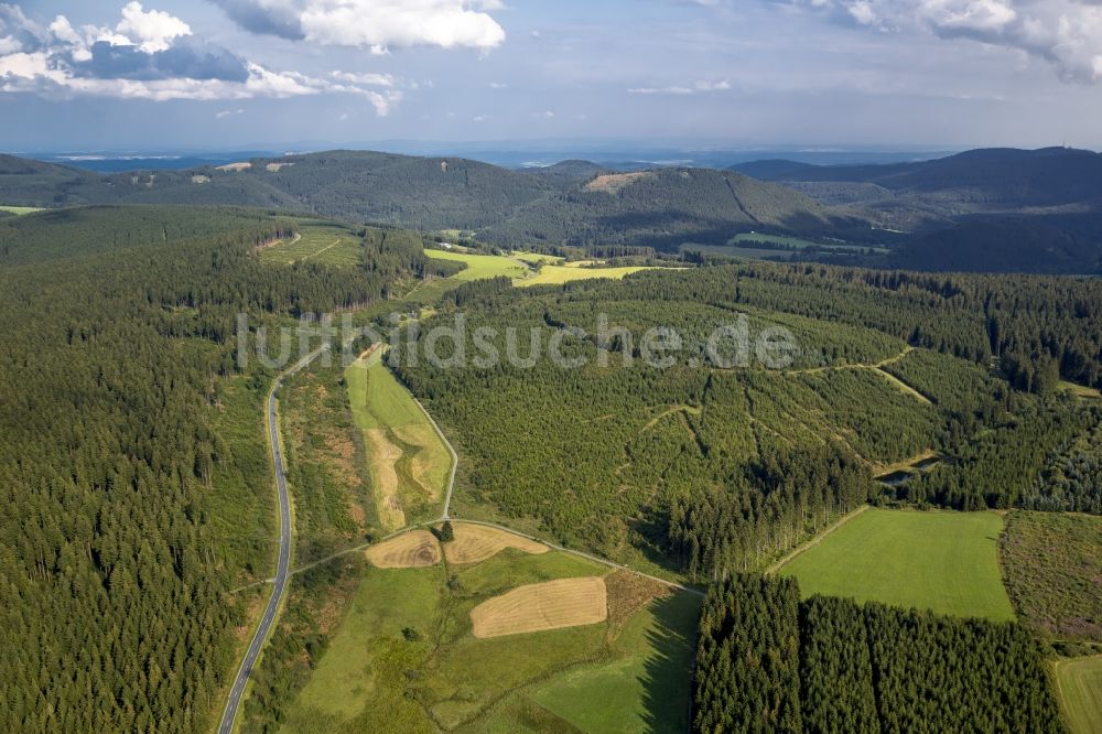 Winterberg von oben - Waldgebiet bei Winterberg im Bundesland Nordrhein-Westfalen