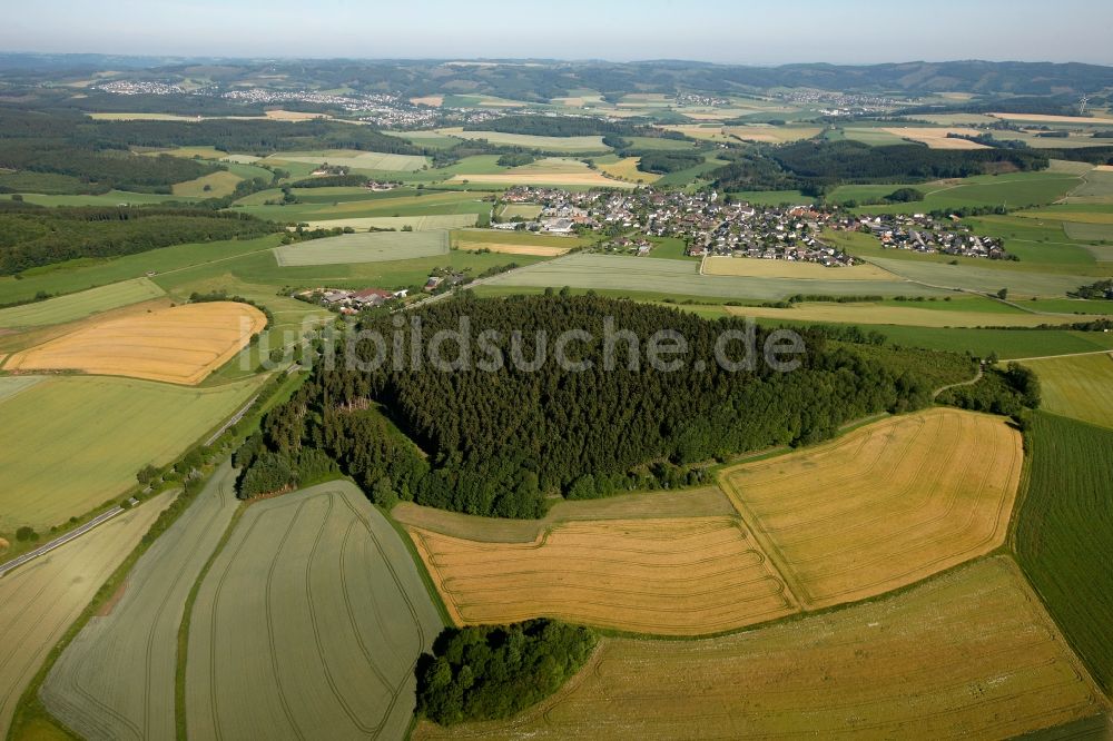 Luftbild Neuenrade - Waldgebiet in Neuenrade im Bundesland Nordrhein-Westfalen