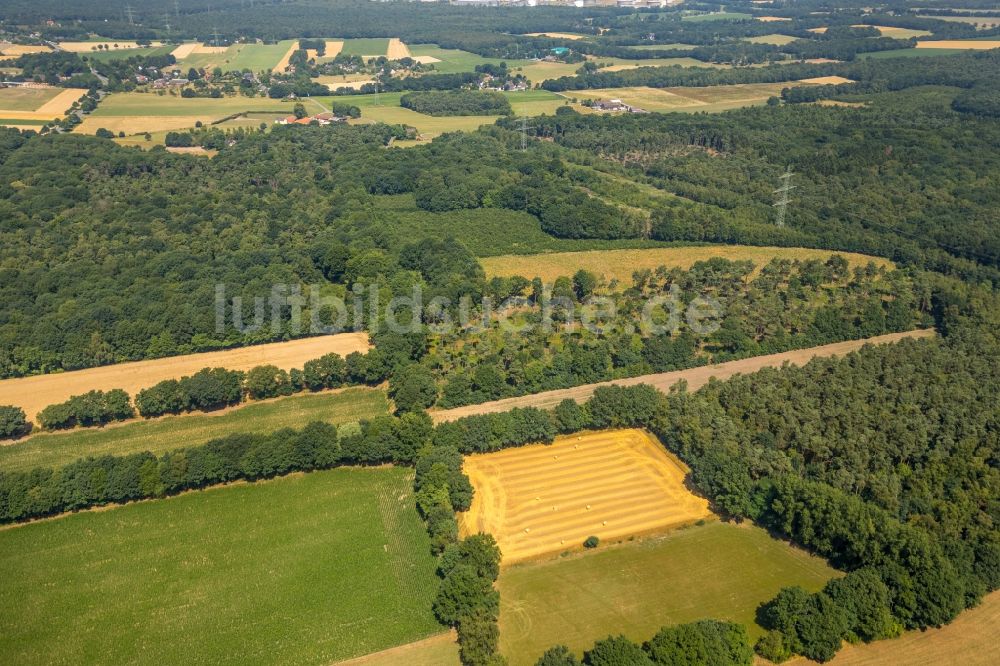 Voerde (Niederrhein) von oben - Waldgebiet in Voerde (Niederrhein) im Bundesland Nordrhein-Westfalen - NRW, Deutschland