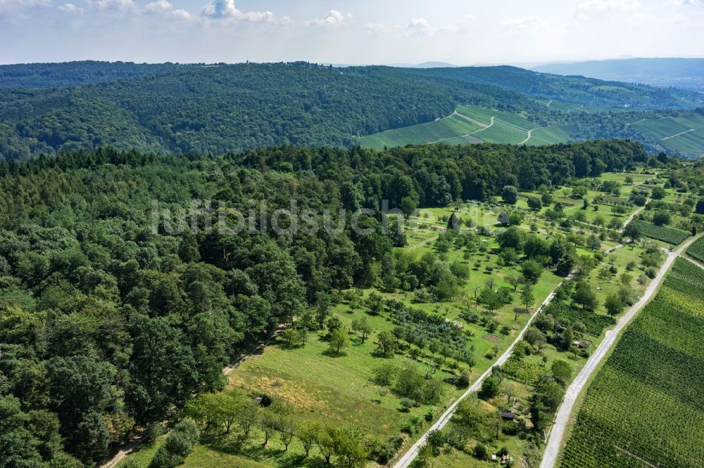 Weinstadt von oben - Waldgebiet in Weinstadt im Bundesland Baden-Württemberg