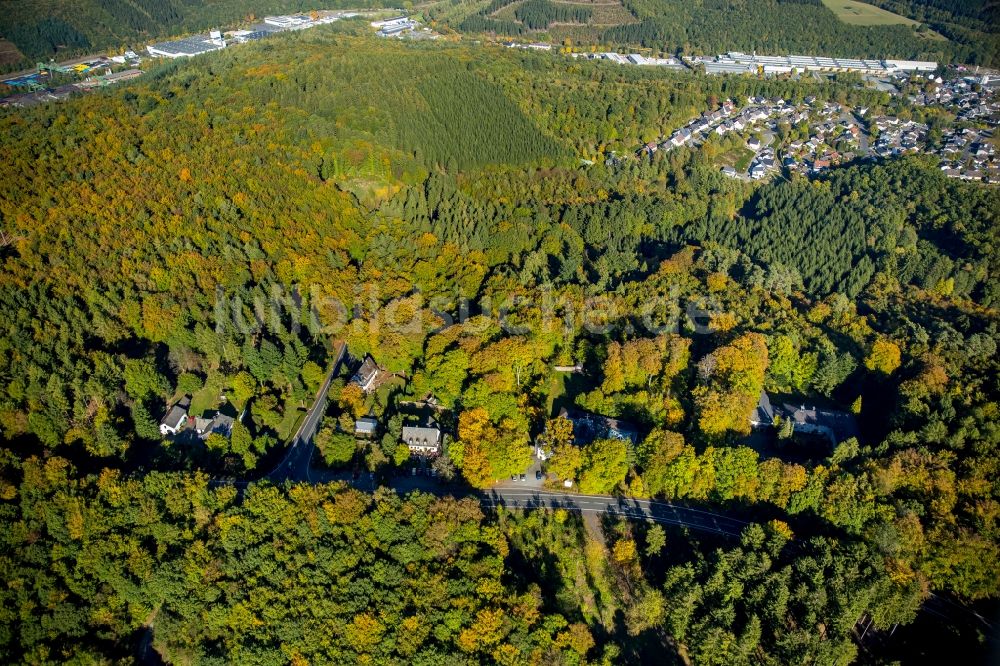 Luftaufnahme Wilnsdorf - Waldgebiet in Wilnsdorf im Bundesland Nordrhein-Westfalen