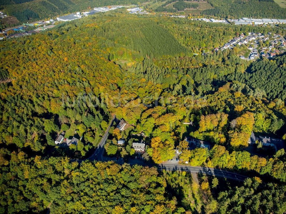 Wilnsdorf von oben - Waldgebiet in Wilnsdorf im Bundesland Nordrhein-Westfalen