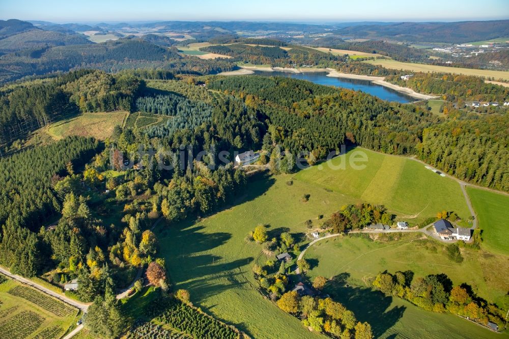 Meschede von oben - Waldgebiete um die Bauernhofpension Waldhaus Ulmecke in Meschede im Bundesland Nordrhein-Westfalen