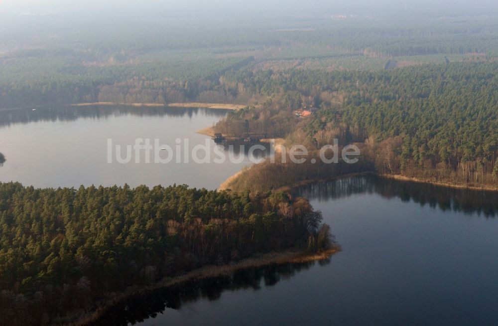 Templin Groß Dölln von oben - Waldgebiete der Schorfheide am Ufer des Großdöllner See bei Groß Dölln im Bundesland Brandenburg