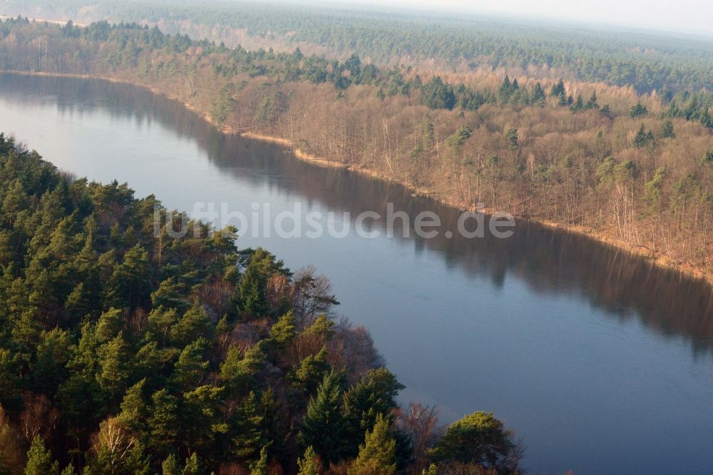 Luftbild Groß Dölln - Waldgebiete der Schorfheide am Ufer des Wuckersee bei Groß Dölln im Bundesland Brandenburg