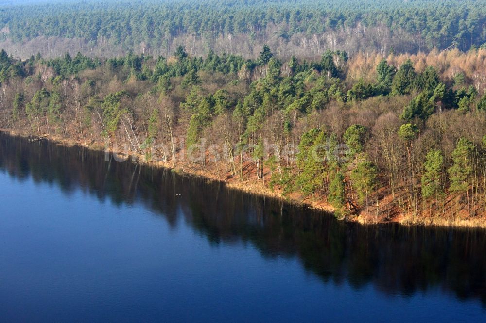 Luftaufnahme Groß Dölln - Waldgebiete der Schorfheide am Ufer des Wuckersee bei Groß Dölln im Bundesland Brandenburg