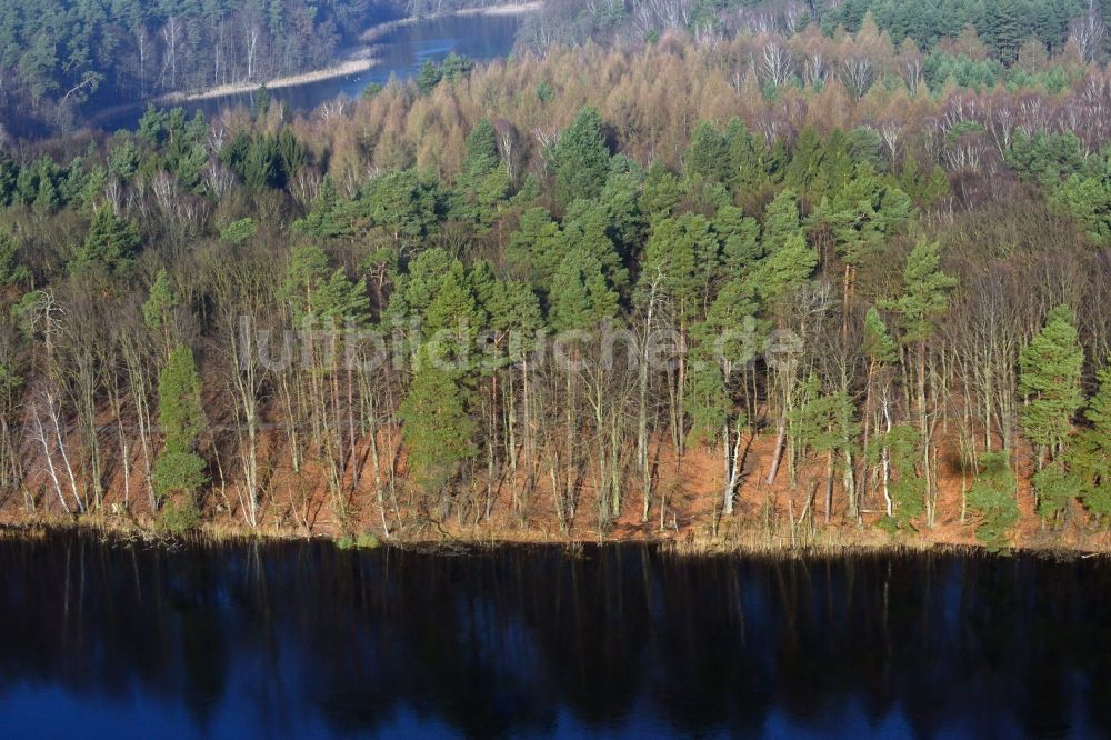 Groß Dölln von oben - Waldgebiete der Schorfheide am Ufer des Wuckersee bei Groß Dölln im Bundesland Brandenburg