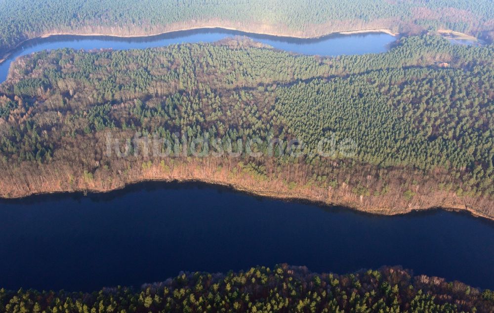 Luftbild Groß Dölln - Waldgebiete der Schorfheide am Ufer des Wuckersee bei Groß Dölln im Bundesland Brandenburg