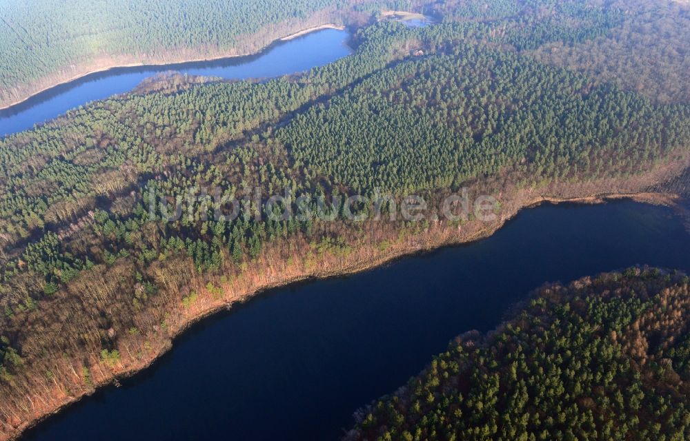 Luftaufnahme Groß Dölln - Waldgebiete der Schorfheide am Ufer des Wuckersee bei Groß Dölln im Bundesland Brandenburg