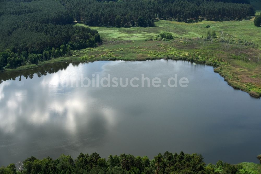 Luftbild Paulshorst - Waldgebiete am Ufer des Kölpinsees in Paulshorst im Bundesland Brandenburg