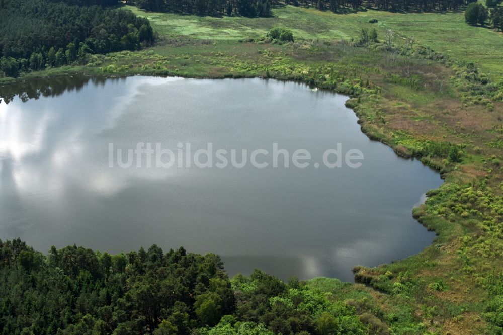 Luftaufnahme Paulshorst - Waldgebiete am Ufer des Kölpinsees in Paulshorst im Bundesland Brandenburg