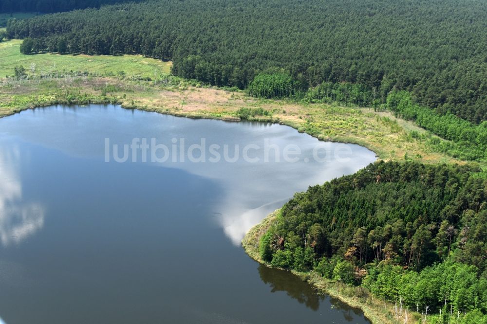 Paulhorst aus der Vogelperspektive: Waldgebiete am Ufer des Kölpinsees in Paulshorst im Bundesland Brandenburg