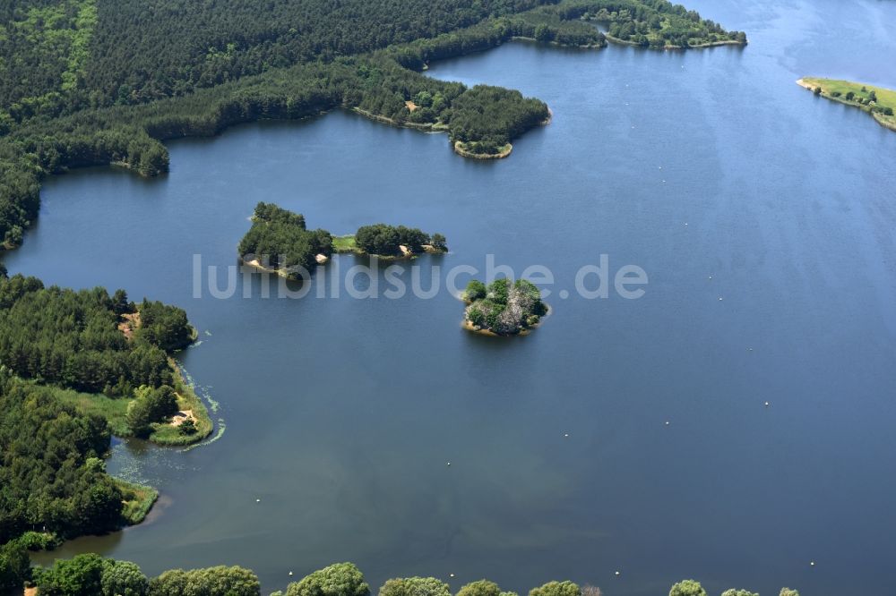 Luftbild Burg - Waldgebiete am Ufer des Niegripper Sees in Burg im Bundesland Sachsen-Anhalt