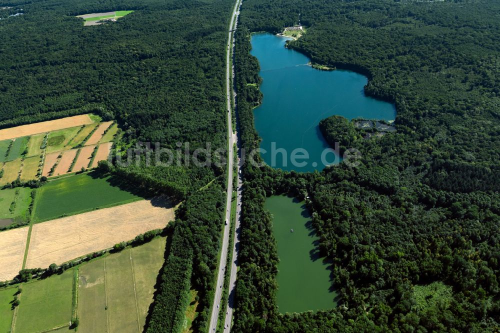 Opfingen von oben - Waldgebiete am Ufer des Opfinger See in Opfingen im Bundesland Baden-Württemberg, Deutschland