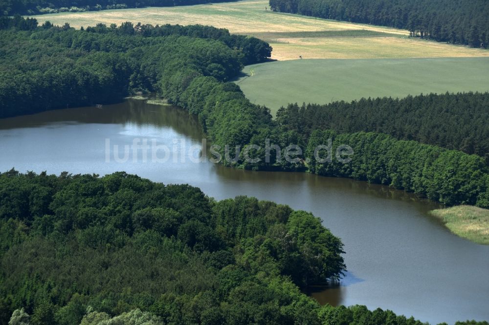 Luftbild Buchholz - Waldgebiete am Ufer des Rönnbergsees in Buchholz im Bundesland Mecklenburg-Vorpommern