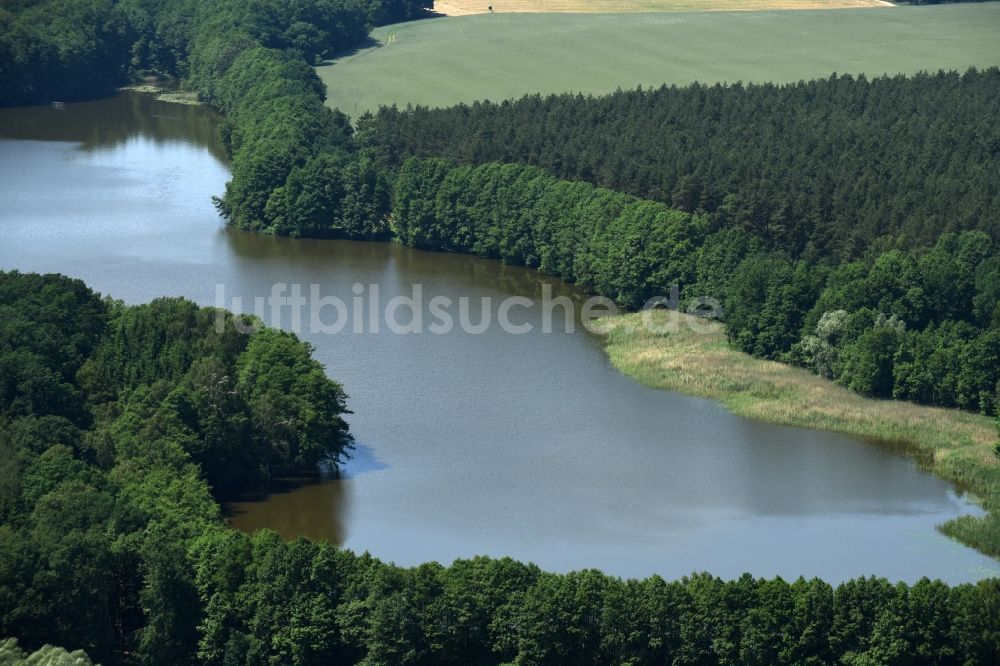 Luftaufnahme Buchholz - Waldgebiete am Ufer des Rönnbergsees in Buchholz im Bundesland Mecklenburg-Vorpommern