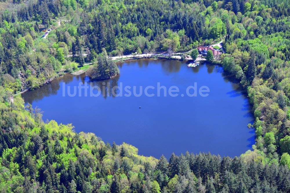Bad Säckingen von oben - Waldgebiete am Ufer vom See Bergsee in Bad Säckingen im Bundesland Baden-Württemberg, Deutschland
