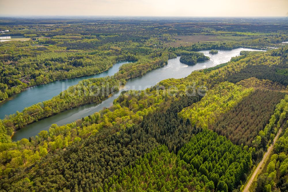 Brüggen aus der Vogelperspektive: Waldgebiete am Ufer des See Diergartscher See in Brüggen im Bundesland Nordrhein-Westfalen, Deutschland