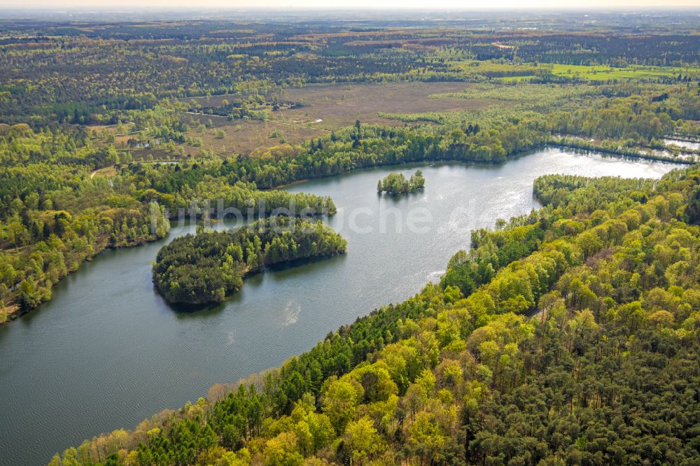 Luftbild Brüggen - Waldgebiete am Ufer des See Diergartscher See in Brüggen im Bundesland Nordrhein-Westfalen, Deutschland