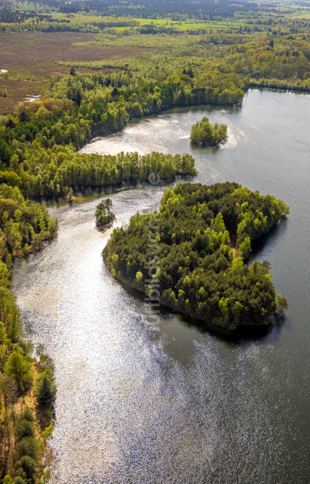 Luftbild Brüggen - Waldgebiete am Ufer des See Diergartscher See in Brüggen im Bundesland Nordrhein-Westfalen, Deutschland