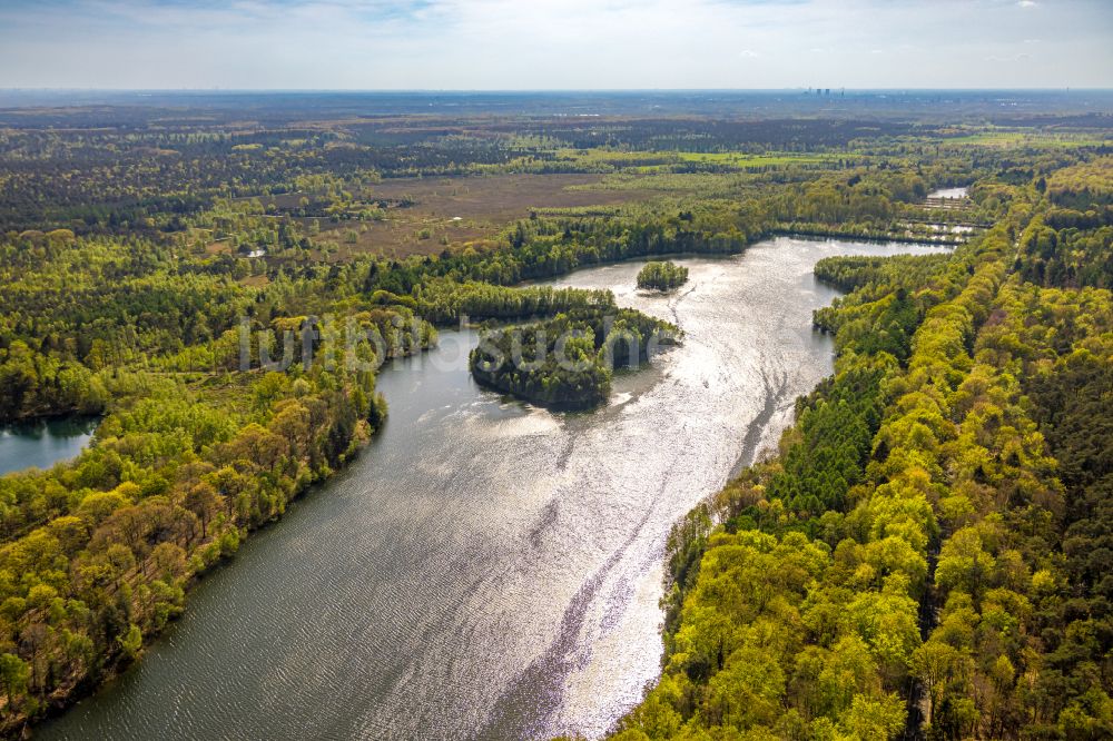 Brüggen von oben - Waldgebiete am Ufer des See Diergartscher See in Brüggen im Bundesland Nordrhein-Westfalen, Deutschland