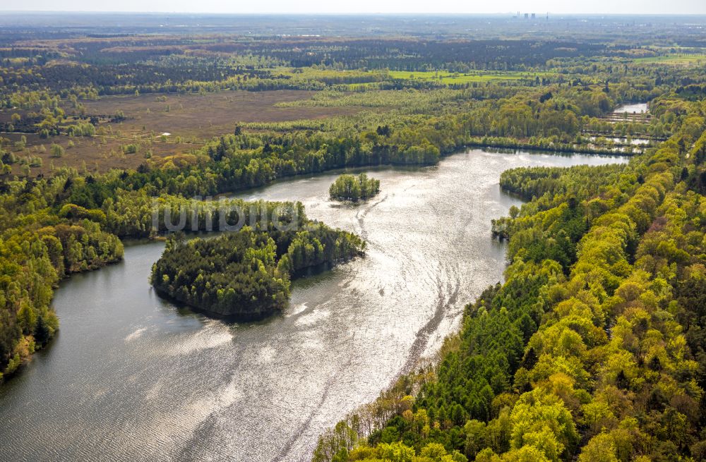 Brüggen aus der Vogelperspektive: Waldgebiete am Ufer des See Diergartscher See in Brüggen im Bundesland Nordrhein-Westfalen, Deutschland