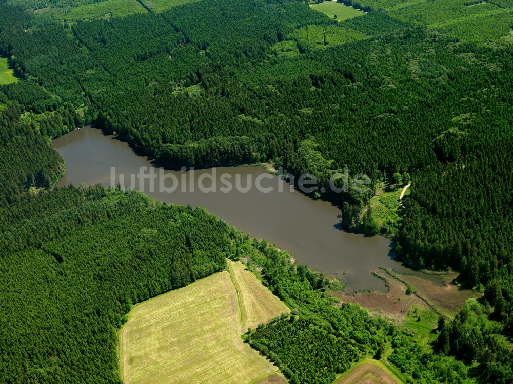 Luftaufnahme Erlenmoos - Waldgebiete am Ufer des See in Erlenmoos im Bundesland Baden-Württemberg, Deutschland