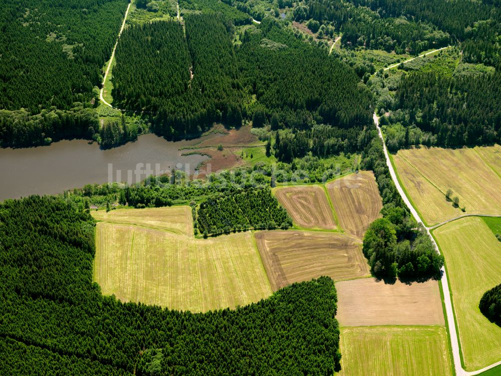 Erlenmoos von oben - Waldgebiete am Ufer des See in Erlenmoos im Bundesland Baden-Württemberg, Deutschland