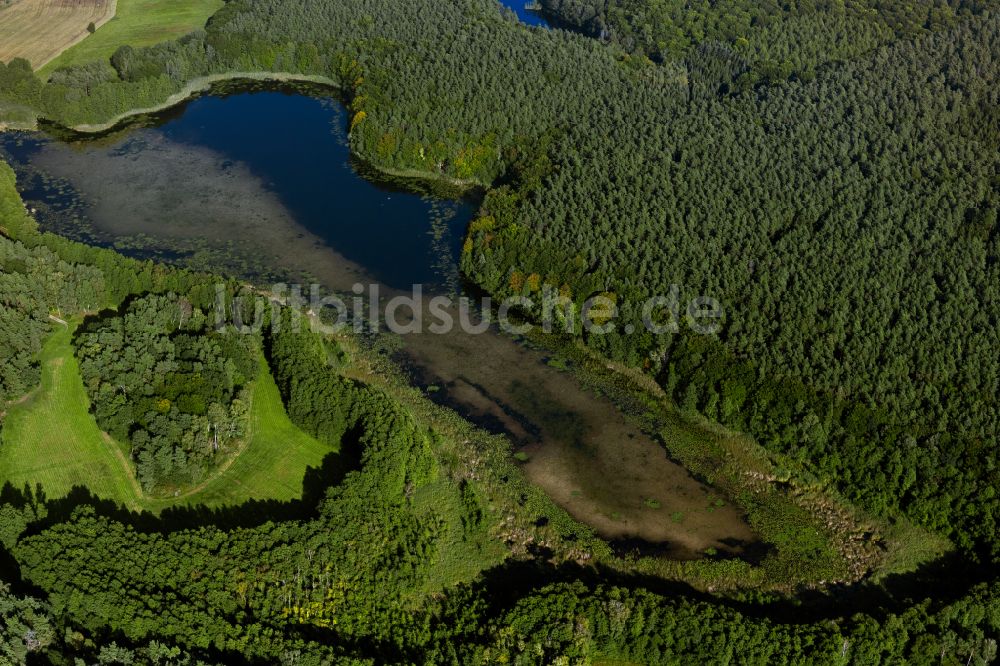 Zechlinerhütte aus der Vogelperspektive: Waldgebiete am Ufer des See Großer Heegesee in Zechlinerhütte im Bundesland Brandenburg, Deutschland