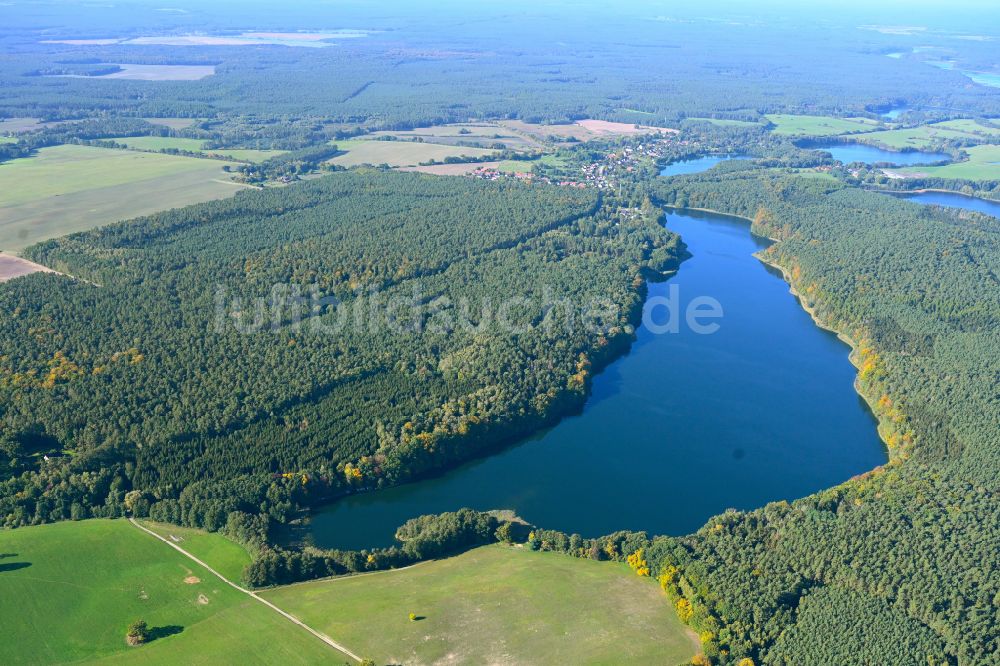 Luftbild Warthe - Waldgebiete am Ufer des See Großer Warthesee in Warthe im Bundesland Brandenburg, Deutschland