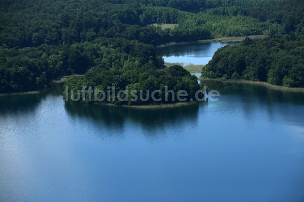 Luftaufnahme Heimland - Waldgebiete am Ufer des See Großer Wummesee in Heimland im Bundesland Brandenburg