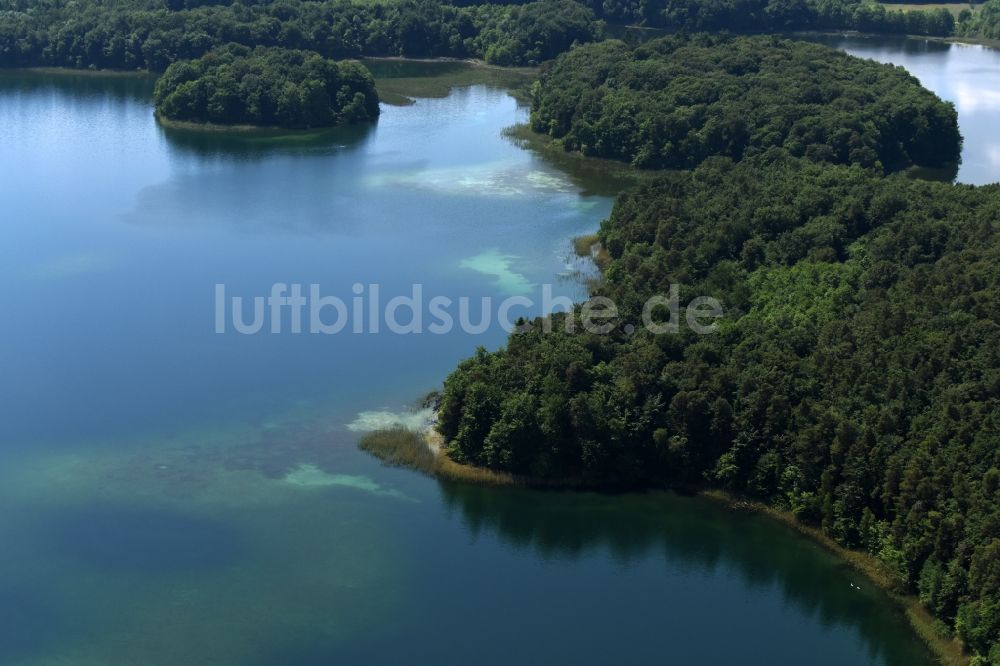 Luftbild Heimland - Waldgebiete am Ufer des See Großer Wummesee in Heimland im Bundesland Brandenburg