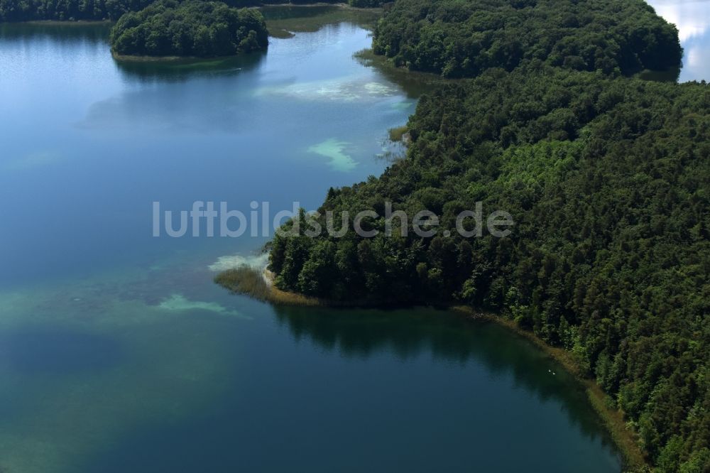 Luftaufnahme Heimland - Waldgebiete am Ufer des See Großer Wummesee in Heimland im Bundesland Brandenburg