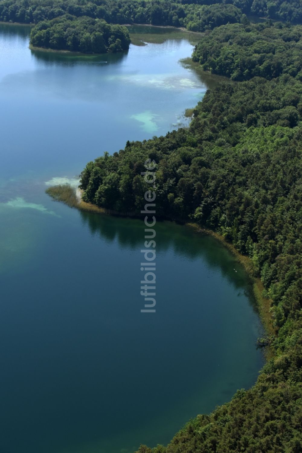 Heimland von oben - Waldgebiete am Ufer des See Großer Wummesee in Heimland im Bundesland Brandenburg