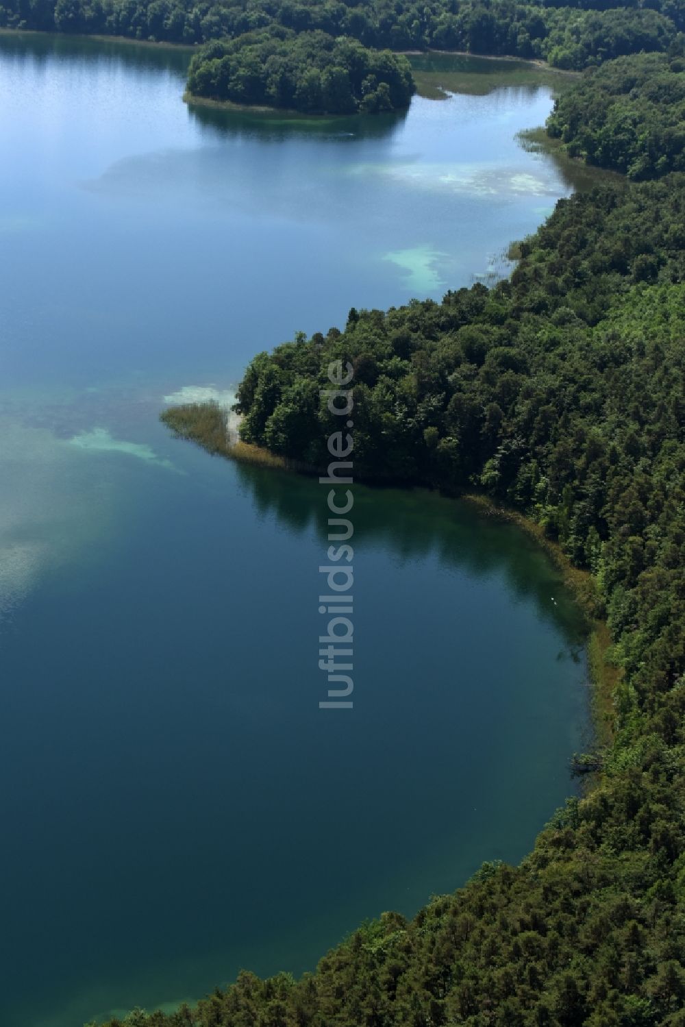 Heimland aus der Vogelperspektive: Waldgebiete am Ufer des See Großer Wummesee in Heimland im Bundesland Brandenburg